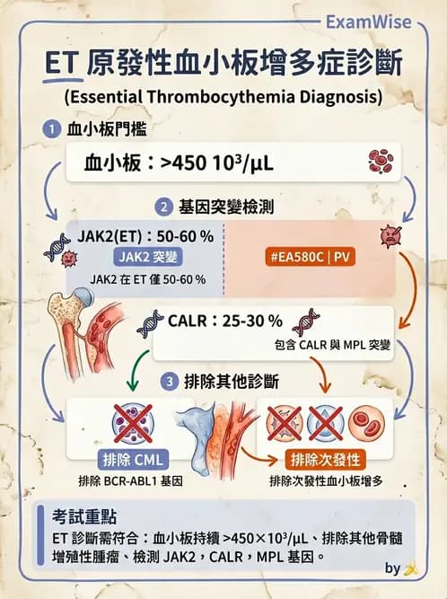 醫檢師 - 慢性血液腫瘤與骨髓增生疾患 - AI 圖文解析預覽