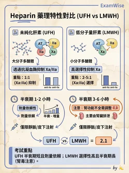 醫檢師 - 血栓性疾病與抗凝治療監測 - AI 圖文解析預覽