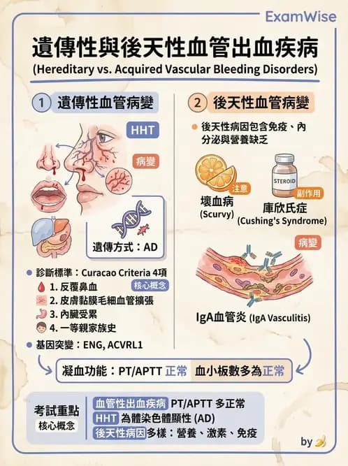 醫檢師 - 出血性疾病與檢驗 - AI 圖文解析預覽