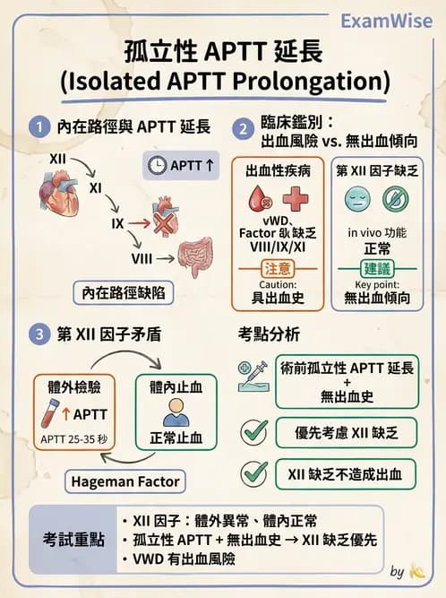 醫檢師 - 凝血因子與凝血檢驗 - AI 圖文解析預覽