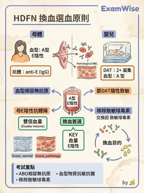 醫檢師 - 血液成分製備與輸血檢查 - AI 圖文解析預覽