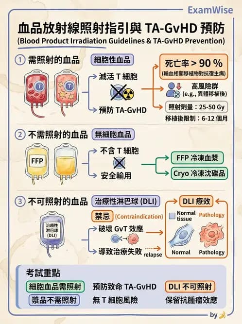 醫檢師 - 血液成分製備與輸血檢查 - AI 圖文解析預覽