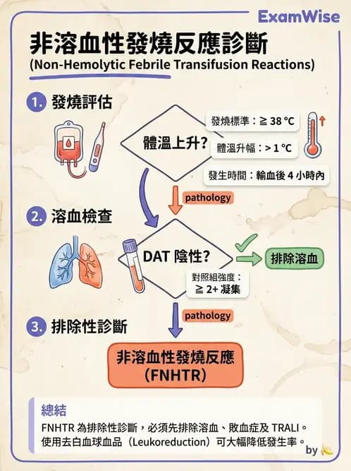 醫檢師 - 輸血反應與血庫品管 - AI 圖文解析預覽