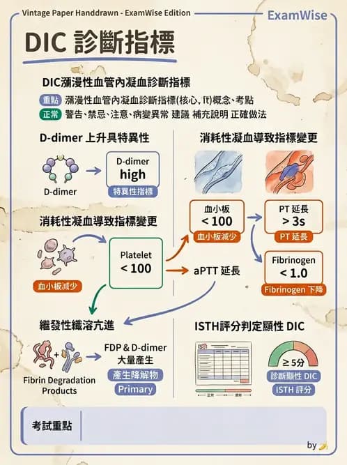 醫檢師 - 出血性疾病與檢驗 - AI 圖文解析預覽