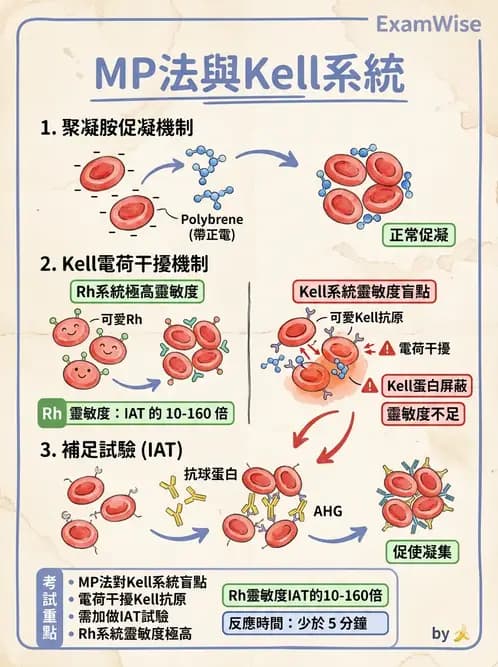 醫檢師 - 血液成分製備與輸血檢查 - AI 圖文解析預覽