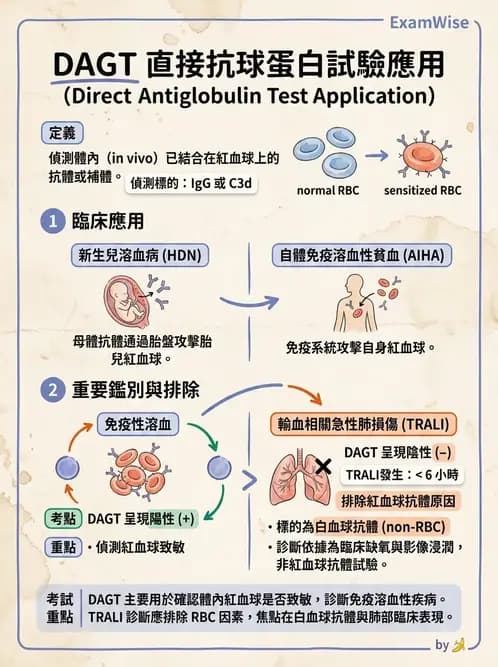 醫檢師 - 輸血反應與血庫品管 - AI 圖文解析預覽