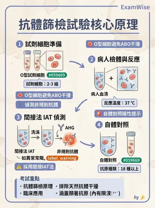 醫檢師 - 血液成分製備與輸血檢查 - AI 圖文解析預覽