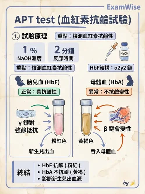 醫檢師 - 糞便常規檢查 - AI 圖文解析預覽
