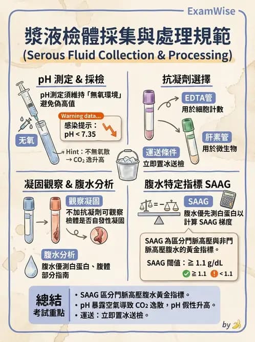 醫檢師 - 穿刺液檢查 - AI 圖文解析預覽