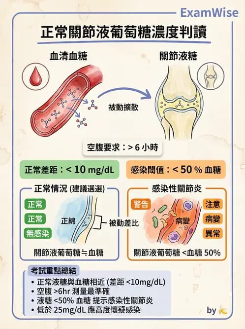 醫檢師 - 滑膜液檢查 - AI 圖文解析預覽
