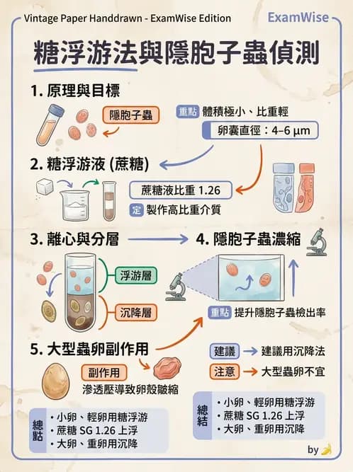 醫檢師 - 寄生蟲檢查-原蟲類 - AI 圖文解析預覽