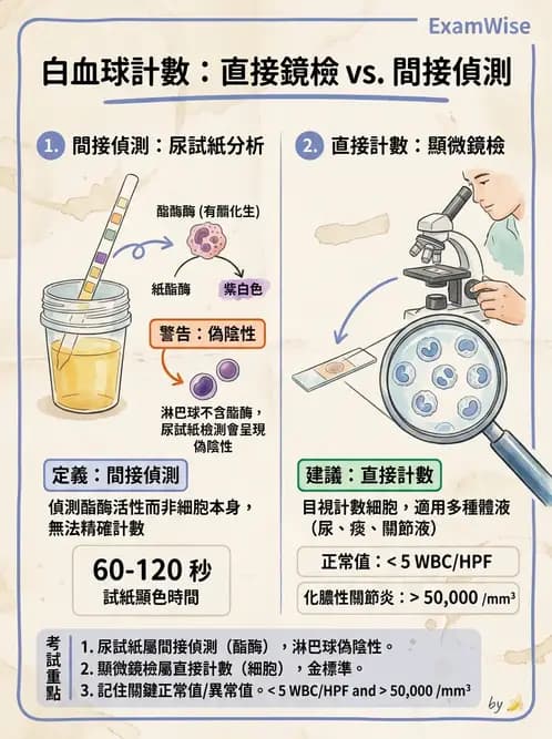 醫檢師 - 鏡檢綜合性試題 - AI 圖文解析預覽