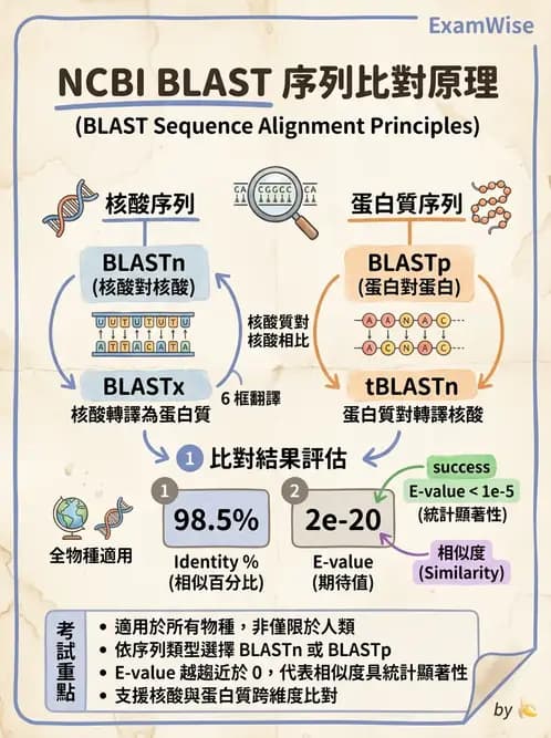 醫檢師 - 分子鑑定與應用技術 - AI 圖文解析預覽