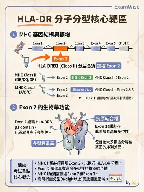 醫檢師 - 分子鑑定與應用技術 - AI 圖文解析預覽