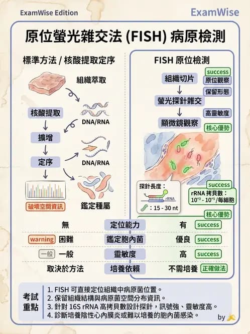 醫檢師 - 雜交探針與晶片技術 - AI 圖文解析預覽