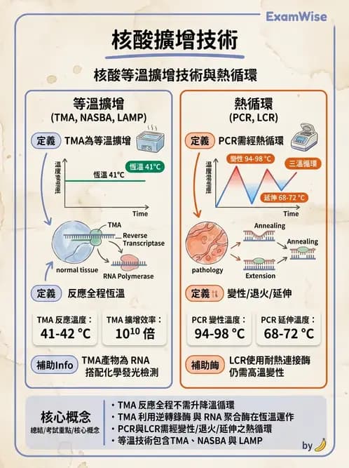 醫檢師 - 核酸擴增與萃取技術 - AI 圖文解析預覽