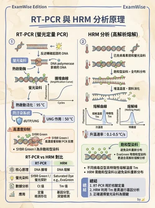 醫檢師 - 核酸擴增與萃取技術 - AI 圖文解析預覽