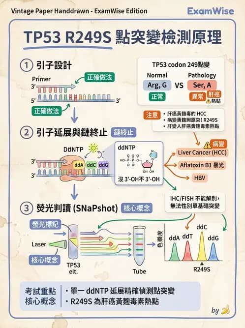 醫檢師 - 定序電泳與表觀分析 - AI 圖文解析預覽