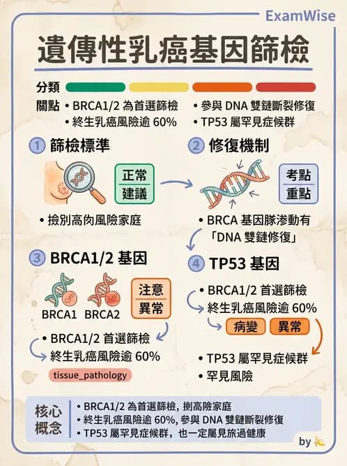 醫檢師 - 腫瘤疾病基因檢測 - AI 圖文解析預覽