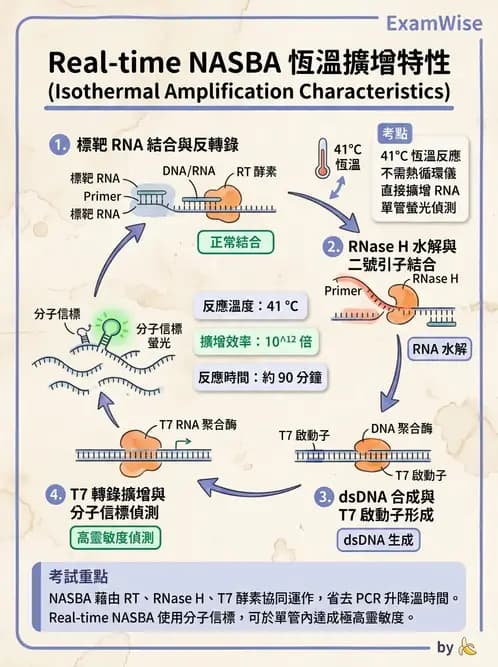 醫檢師 - 感染症分子檢驗 - AI 圖文解析預覽