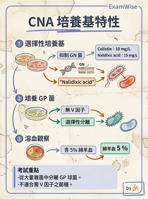 醫檢師 - 檢驗基礎技術 - AI 圖文解析預覽