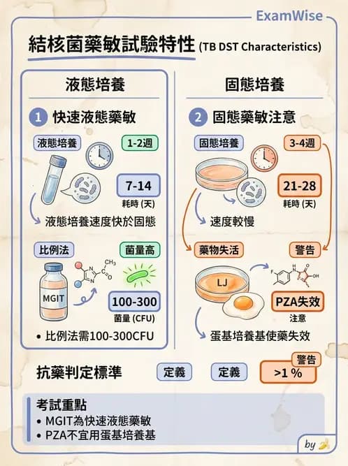 醫檢師 - 藥敏試驗方法 - AI 圖文解析預覽