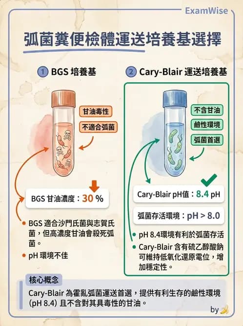 醫檢師 - 弧菌、氣單胞菌與彎曲菌 - AI 圖文解析預覽