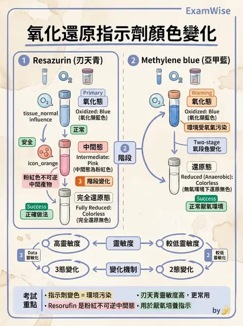 醫檢師 - 厭氧菌 - AI 圖文解析預覽