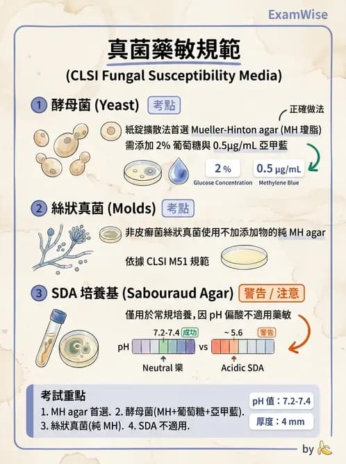 醫檢師 - 藥敏試驗方法 - AI 圖文解析預覽