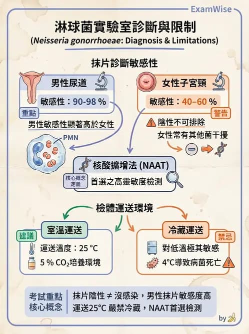醫檢師 - 感染症與院內感染 - AI 圖文解析預覽