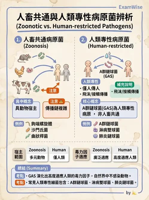 醫檢師 - 感染症與院內感染 - AI 圖文解析預覽