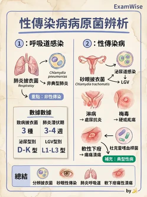 醫檢師 - 感染症與院內感染 - AI 圖文解析預覽
