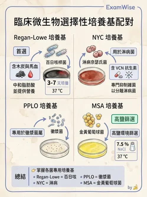 醫檢師 - 檢驗基礎技術 - AI 圖文解析預覽