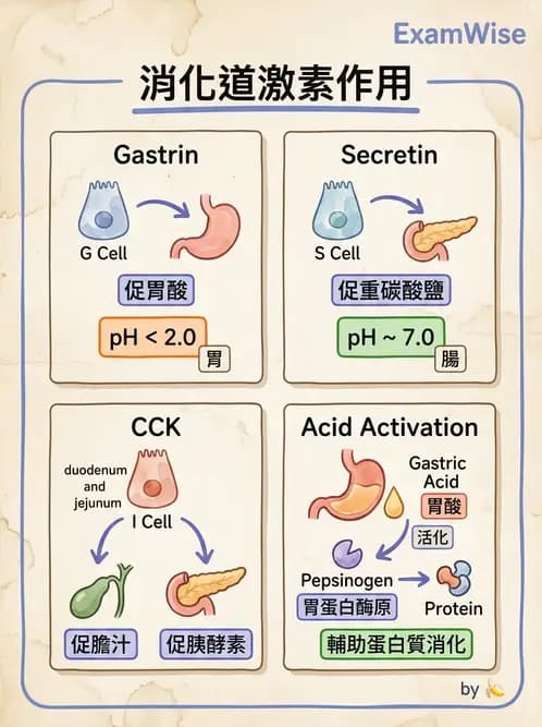 醫檢師 - 基本概念與儀器分析 - AI 圖文解析預覽
