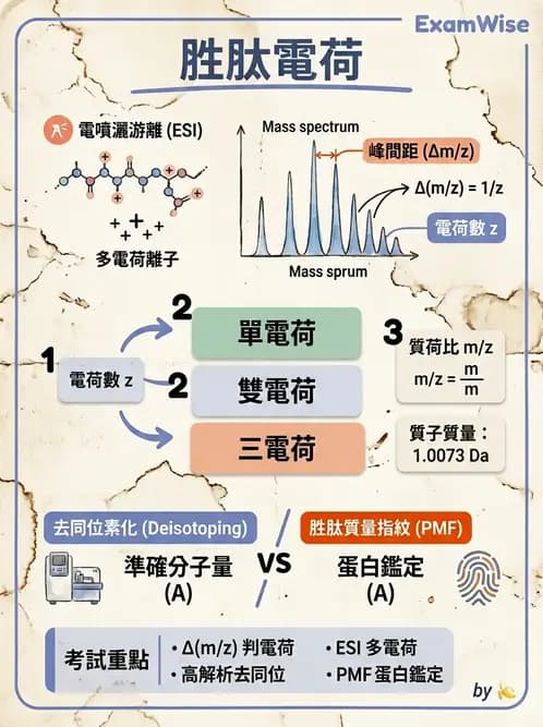 醫檢師 - 基本概念與儀器分析 - AI 圖文解析預覽