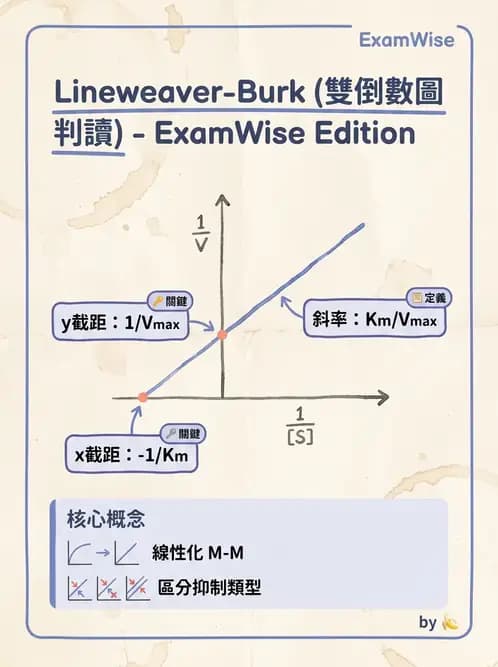 醫檢師 - 臨床酵素學基礎 - AI 圖文解析預覽