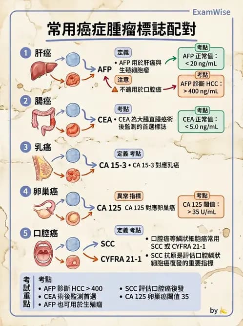 醫檢師 - 腫瘤標誌 - AI 圖文解析預覽