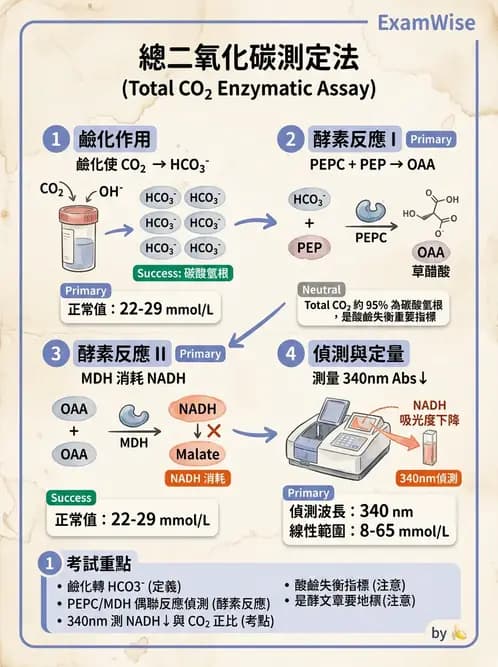 醫檢師 - 血液氣體分析及酸鹼平衡 - AI 圖文解析預覽