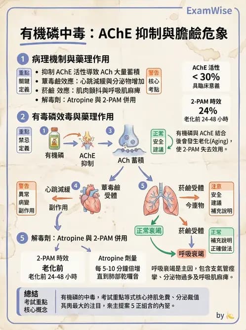 醫檢師 - 治療藥物監測與毒物學 - AI 圖文解析預覽