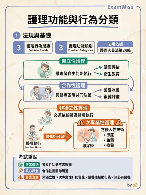 護理師 - 泌尿排泄與導尿護理 - AI 圖文解析預覽