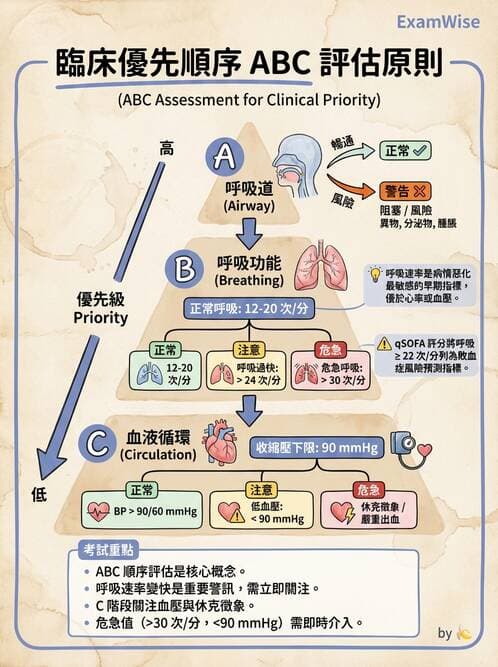 護理師 - 綜合評估與檢體採集 - AI 圖文解析預覽