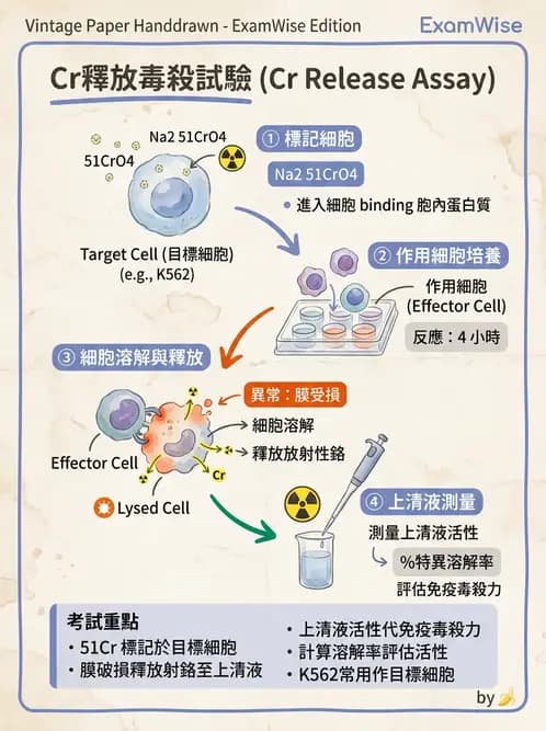 醫檢師 - 實驗室測試免疫法 - AI 圖文解析預覽