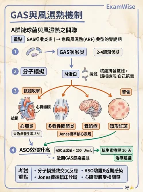 醫檢師 - 急性發炎蛋白與微生物感染血清學 - AI 圖文解析預覽