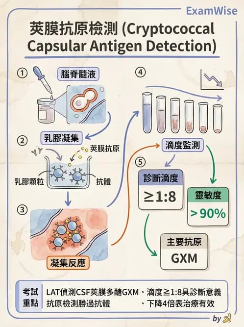 醫檢師 - 實驗室測試免疫法 - AI 圖文解析預覽