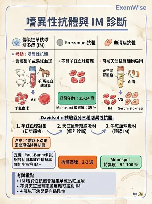 醫檢師 - 急性發炎蛋白與微生物感染血清學 - AI 圖文解析預覽