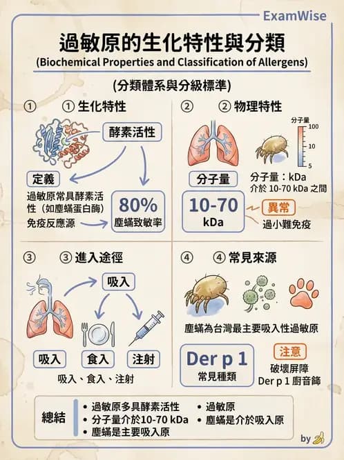 醫檢師 - 過敏反應及測試法 - AI 圖文解析預覽