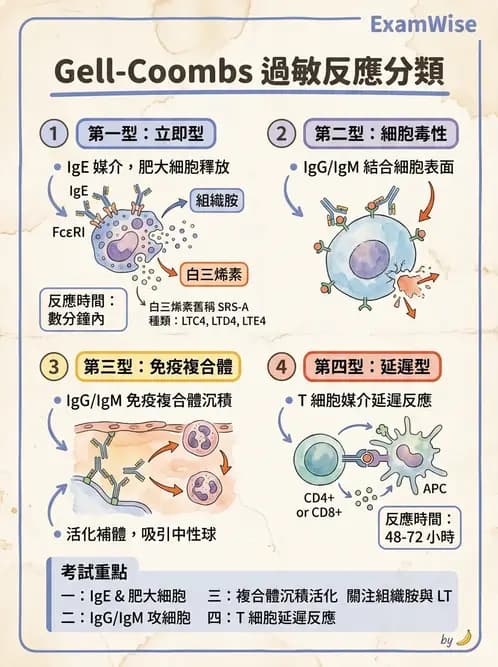 醫檢師 - 過敏反應及測試法 - AI 圖文解析預覽