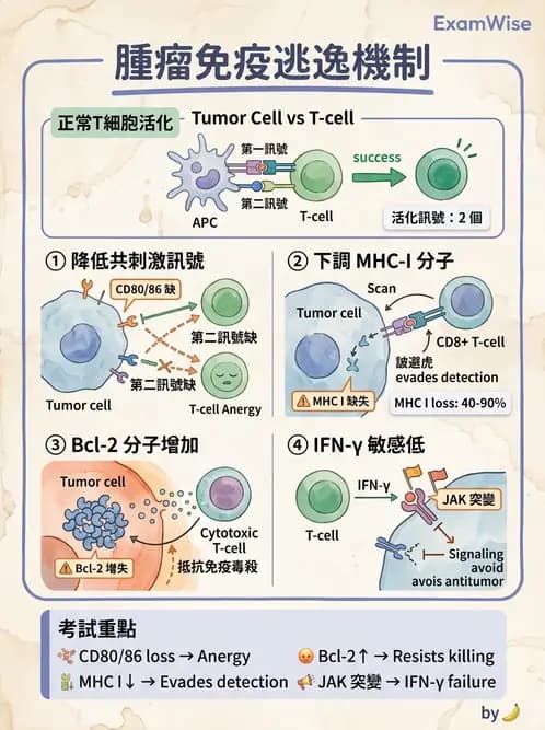 醫檢師 - 腫瘤免疫學免疫療法及疫苗 - AI 圖文解析預覽