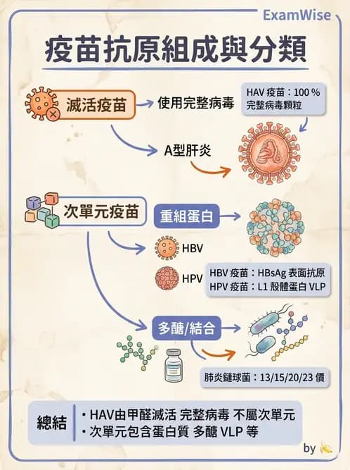 醫檢師 - 腫瘤免疫學免疫療法及疫苗 - AI 圖文解析預覽