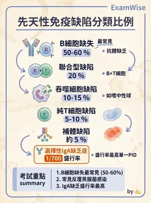醫檢師 - 免疫缺陷 - AI 圖文解析預覽